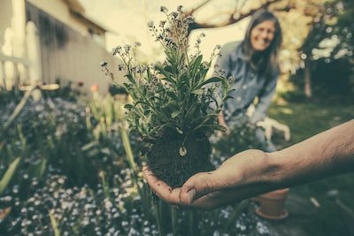 Jardin urbain : tout ce qu'il faut savoir